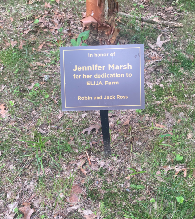 Other Naming Opportunities